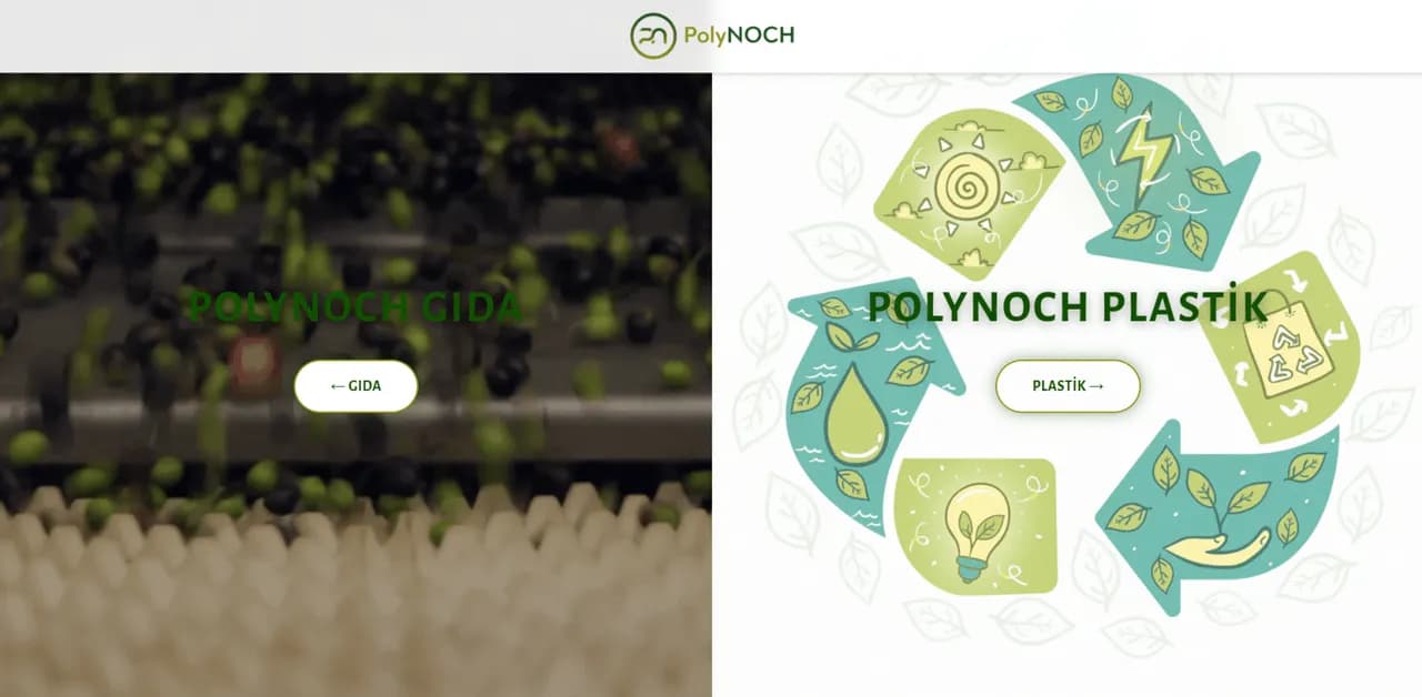 PolyNOCH – Website Çalışması