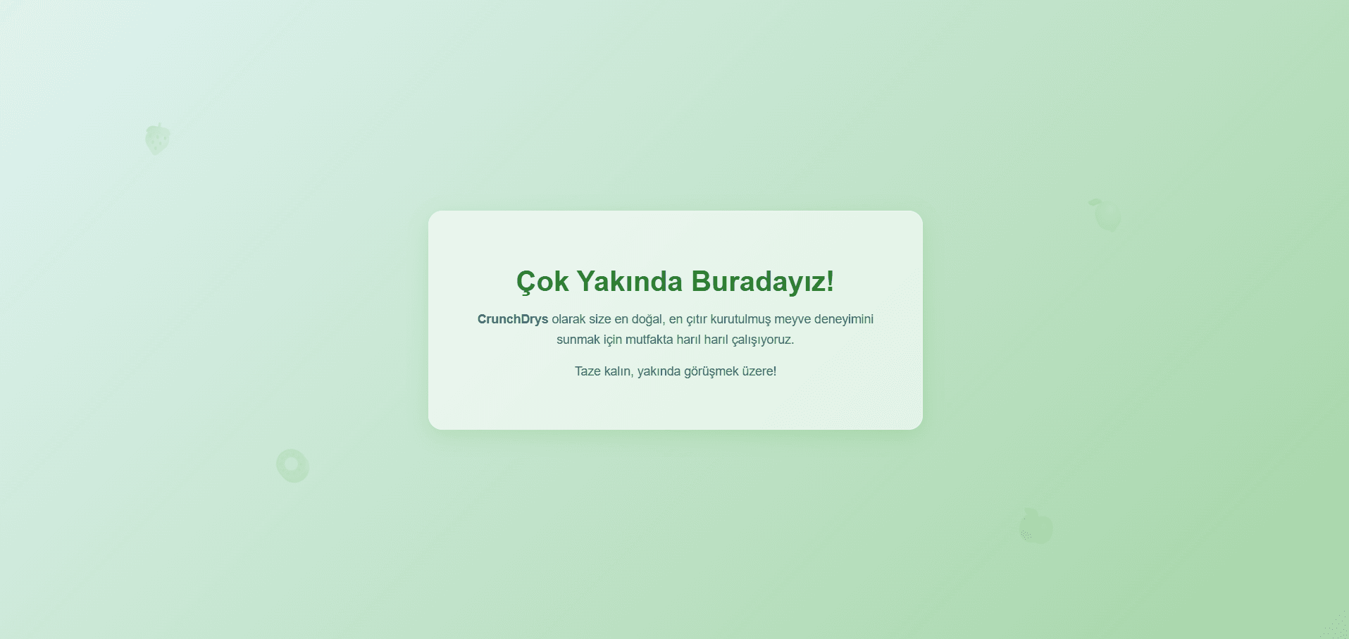 CrunchDrys - Bakım Ekranı