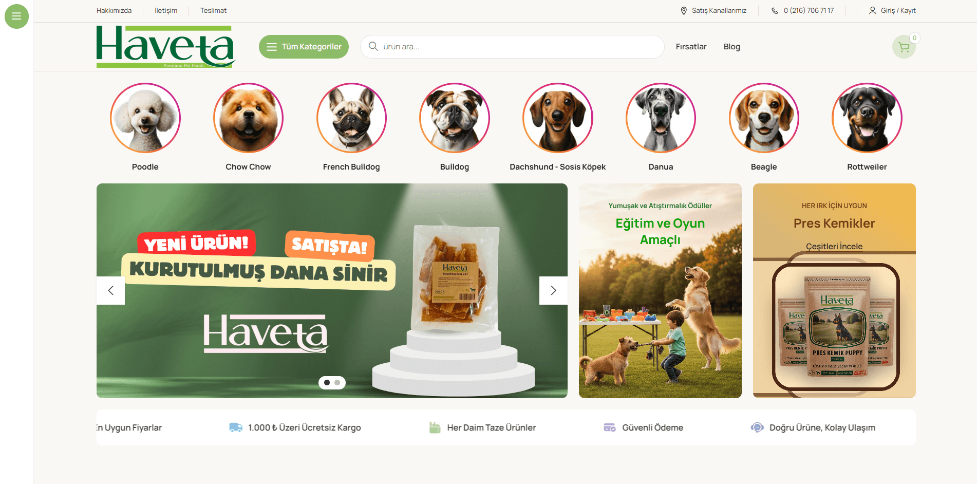 Haveta – Comprehensive SEO Optimization & Organic Growth