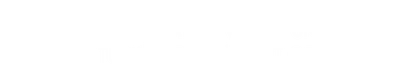 Vizyonuni