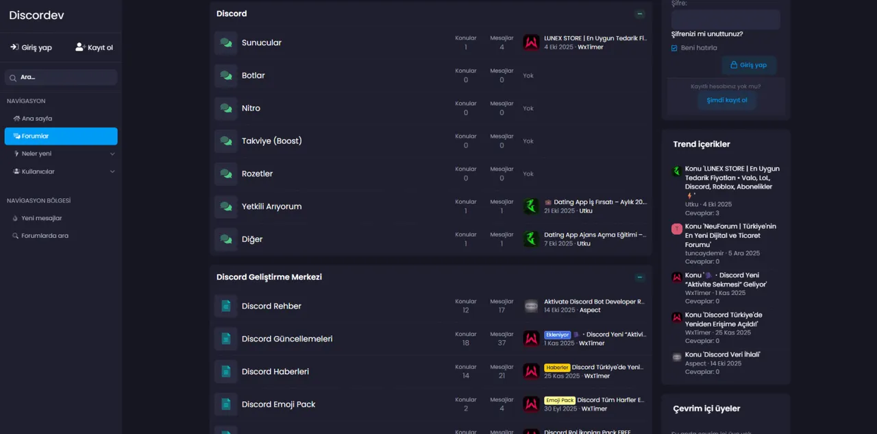 Discordev – Website Çalışması - 1