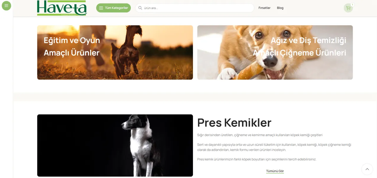 Haveta – Website Çalışması - 1