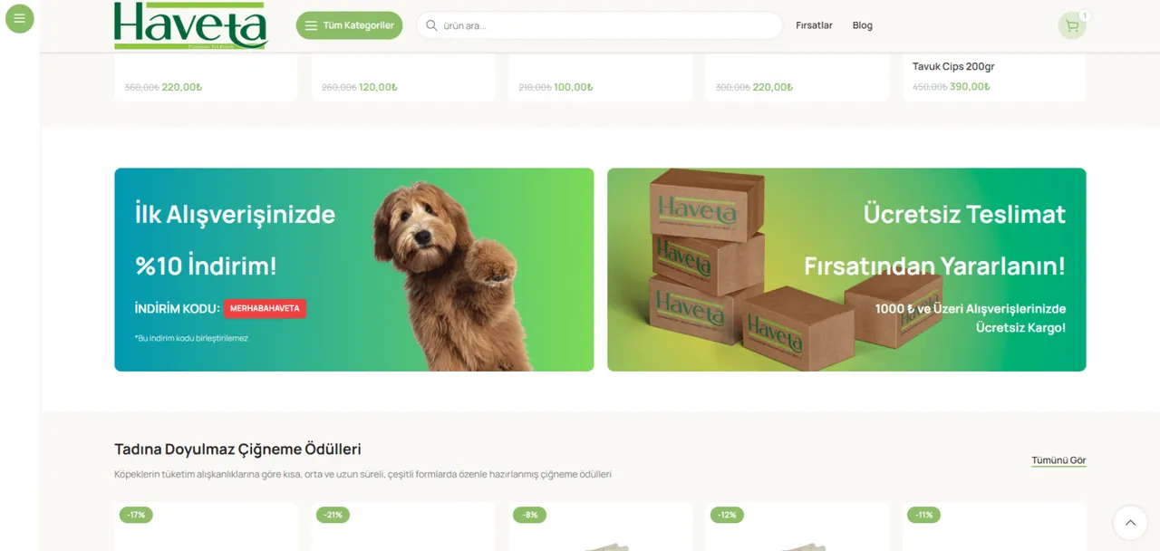 Haveta – Website Çalışması - 2