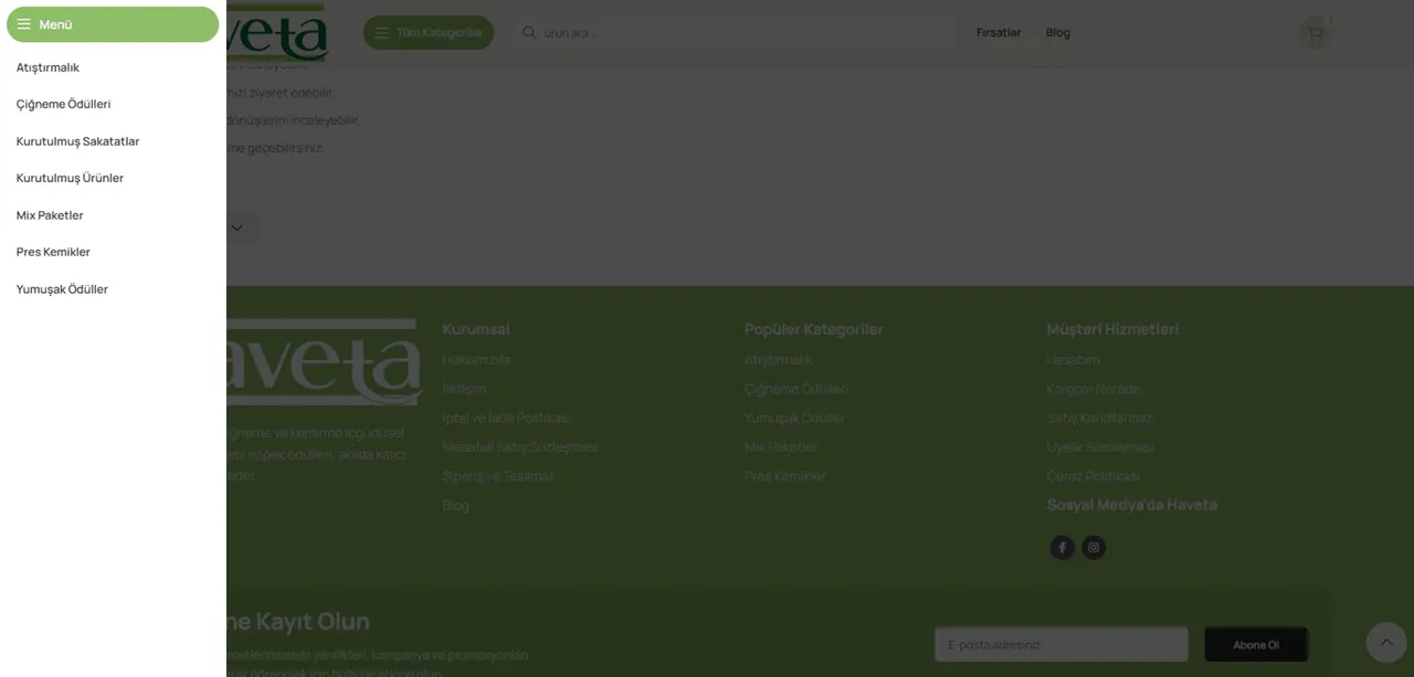 Haveta – Website Çalışması - 3