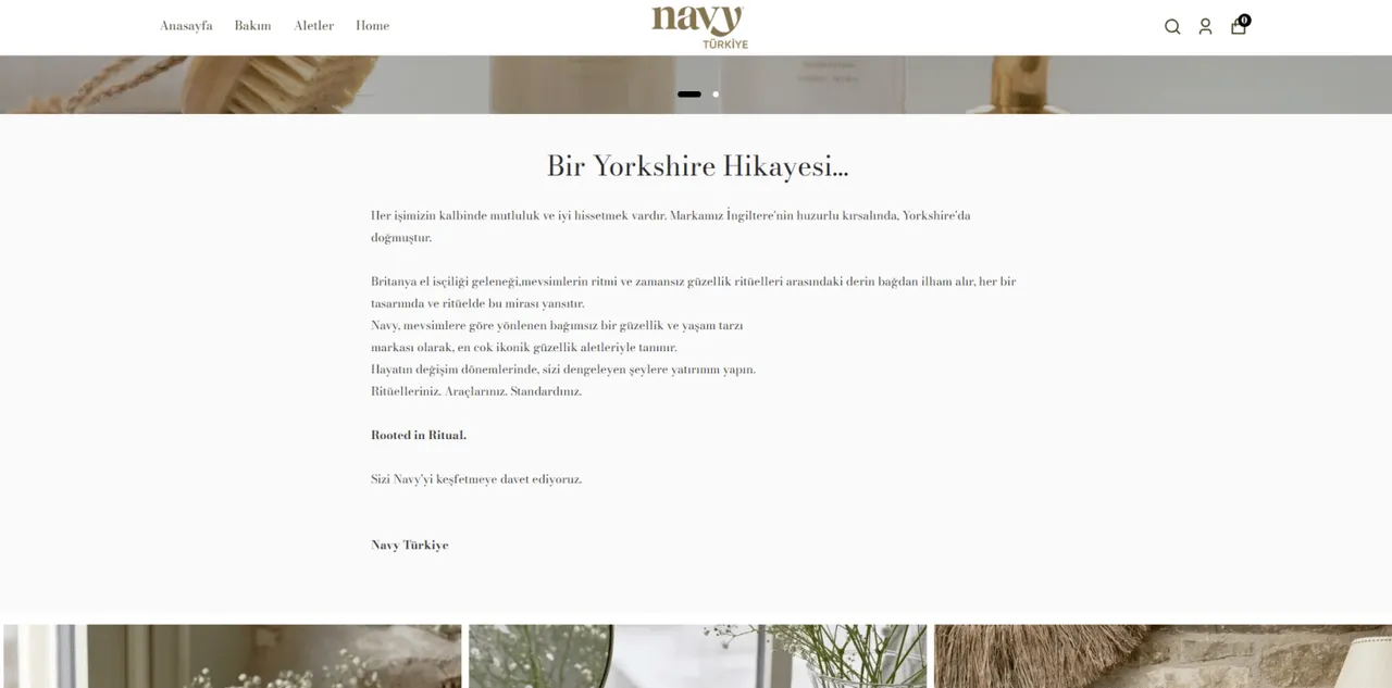 Navy Professional Türkiye – Website Çalışması - 1