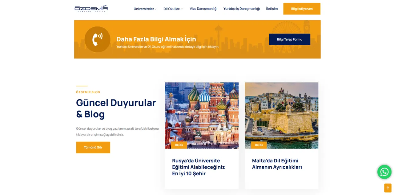 Web Design & SEO for Ozdemir Study Abroad - 3